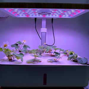 12 pots Smart Hydroponics Grow System Kits de jardin de bureau intérieur avec LED Growing Lights Intelligent Planter For Home Kitchen