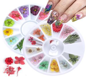 12 types Fleurs séchées 3D Décoration de l'art de l'ongle DIY BEAUTURE PETAL DÉCALON FLORAL Sticker Gel Dry Flower Gel Polon