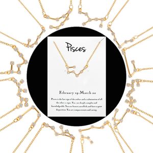12 Zodiac Sign Card Kettingen Voor Vrouwen Mannen Constellation Horoscoop vorm Hanger Goud Zilver Kettingen Mode-sieraden Cadeau