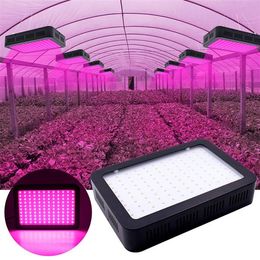 1200W 100 * 10W Volledig Spectrum 3030 Lamp Bead Plant Lamp Enkele Control Black Premium Materiaal Grow Light