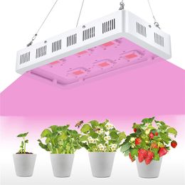 1200W 1500W 1800W 2700W 3600W LED Grow Licht Volledig Spectrum met Aan Uit Schakelaar Grow Lamp voor Greenhouse en Indoor Plant Bloei Groeien