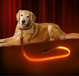 120cm LED Nylon lueur chien laisses animaux chiot sangles d'entraînement chien plomb corde laisse voiture sécurité ceinture de sécurité fournitures pour animaux de compagnie Q567