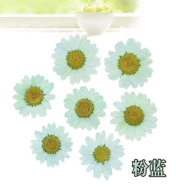 120pcs Presse Press Sèche Daisy Plantes de fleurs sèches pour collier pendentif en résine époxy Bijoux de fabrication d'accessoires de bricolage 2103177231056