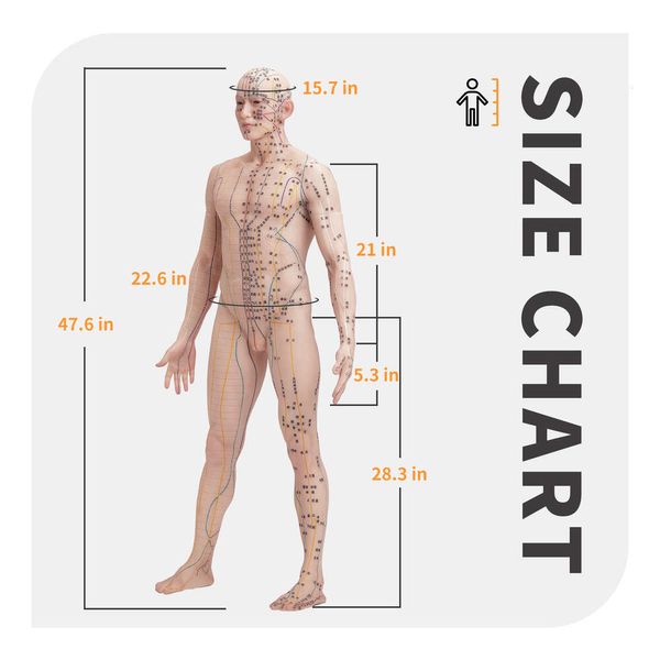 Modelo de 121cm con puntos de China, maniquí de silicona de moxibustión de acupuntura de cuerpo humano, equipo de enseñanza médica China