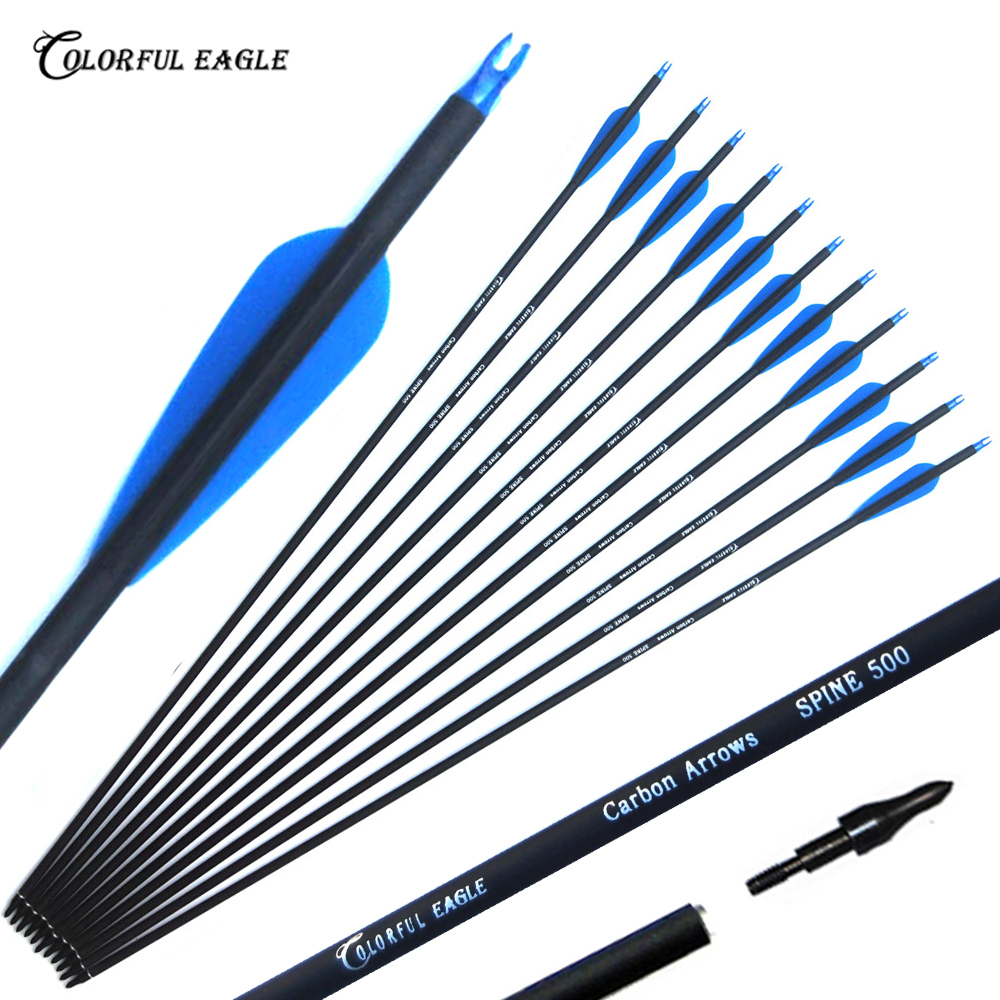 Hunting Archery Carbon arrows Carbon Shaft 28/30/31 Inch with Replacement Screw-in Field Points for compound & recurve bow Arrow Shooting