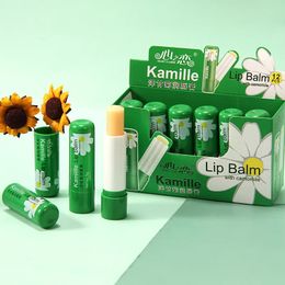 Baume à lèvres nutritif à la camomille, hydratant en profondeur, réduit les ridules, soins de Protection, cosmétique, 12 pièces, 240313