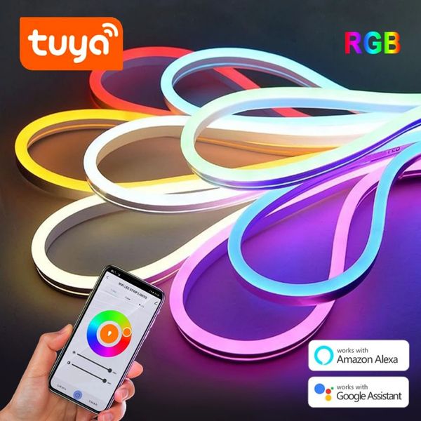 Enseigne au néon RGB 12V/24V 3/5M, application Tuya WiFi, fonctionne avec Tuya/Smart Life, pour mariage, vacances, éclairage de décoration de maison