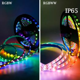12V 5V Adresable RGBW RGBWW 4 In 1 LED Strip 60leds/M SMD 5050 RGB Wit Pixle IC SK6812 LAMT TAPE SMART Flexible Lights Bar