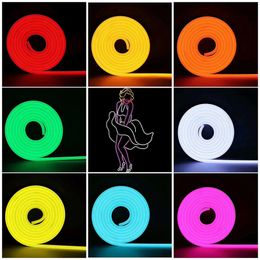 12V Neon Rope Light, LED Strings Lights Silicone 16.4ft Multicolore Dimmable Silicones IP65 Étanche Fête DIY Intérieur Extérieur Décors usastar