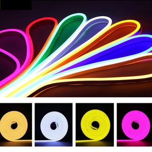 Cordon lumineux néon 12 V, guirlandes LED en silicone 16,4 pieds Silicones multicolores à intensité variable IP65 étanche pour les fêtes DIY Décorations intérieures et extérieures (blanc chaud) OEMLED