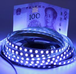 Strip à LED ultraviolet 12V Ultaviolet Employé IP65 IP20 Night Fishing 395NM 60 120 LEDSM 2835 SMD PCB BLAND LIGHTS LED LED7196559