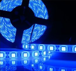 12V Waterdichte 5050 SMD LED Strip Licht Flexibele Rood Groen Blauw Warm Wit Koel Wit 60LED / M Gratis verzending