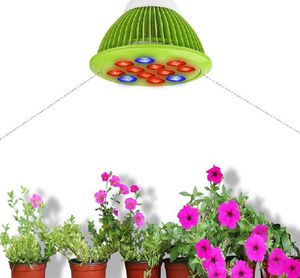 12W 24W Led élèvent la lumière E27 PAR38 hydroponique Led plante élèvent l'ampoule pour la serre AC85-265V