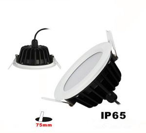 12 W Waterdichte IP65 Warm Wit / Wit / Koud Wit LED Ingezonken Downlight LED Plafond Down Light Lamp 2800-7000K AC85-265V