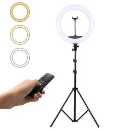 13 pouces 33 cm éclairage de studio photo LED anneau lumineux télécommande photographie lampe annulaire à intensité variable avec trépied pour portrait, maquillage, Tiktok