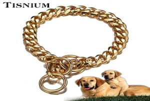 13 mm hondenkraagketen ketting Pet Accessoires Curb Cubaanse goudkleur roestvrijstalen veiligheidstrainingstraining Rope verstelbare ketens4028289