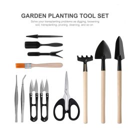 13 piezas mini herramienta de plantación de jardines para suculentas Desgastamiento Daving Planting Trasplanting Herramientas de jardinería de jardín de hadas en miniatura
