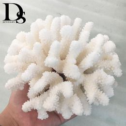 Arbre de corail blanc de mer de corail 100% naturel, 14-16cm, aménagement paysager d'aquarium, ornements d'ameublement de maison, décoration de maison 2040