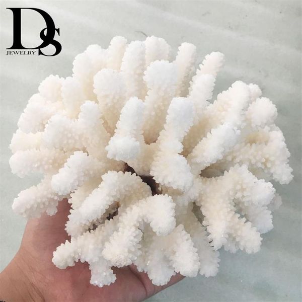 14–16 cm, 100 % natürliches Korallenmeer, weißer Korallenbaum, weiße Koralle, Aquarium, Landschaftsbau, Heimtextilien, Ornamente, Heimdekoration254Q