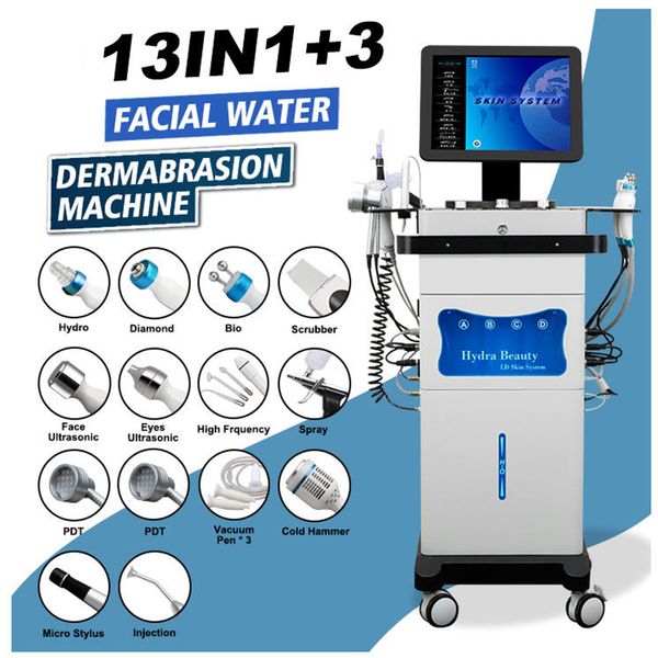 14 en 1 Microdermabrasion Hydra Facial Hydrafacials Auqa eau nettoyage en profondeur RF lifting soins de la peau visage Spa Machine