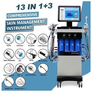 Machine faciale multifonctionnelle 14 en 1, soins de la peau, dissolvant de points noirs, eau, hydro-dermabrasion, nettoyage en profondeur, équipement de blanchiment du visage