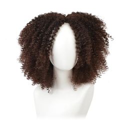 14 pouces Brown Synthetic Curly Wigs for Women 9 Colors ombre Short Afro Wig African American Natural Black Hair1722800