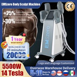 14 Tesla DLS Machine Hi-emt Neo Nova EMS Cuscinetti per la stimolazione Opzionale Pelvic Fat Burn Body Snellente Muscle Building EMSzero