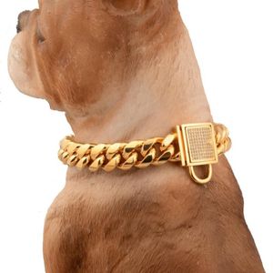 14MM charme blanc strass serrure boucle coupe bordure lien cubain en acier inoxydable 316L or chaîne de chien collier pour animaux de compagnie tour de cou 12-34qu3508