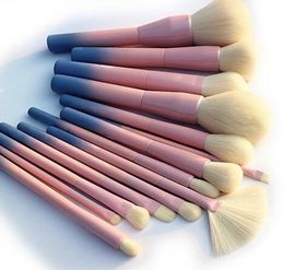 Cepillos de maquillaje de 14 piezas Conjuntos de gradiente Color Cosmetic Foundation Cosmetic Shaado