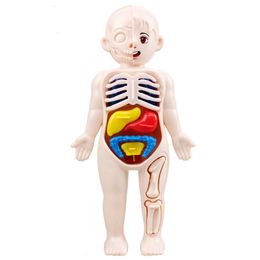 14stcs Set Human Organ Model Children Diy verzamelden medische vroege wetenschaps- en onderwijsspeelgoed