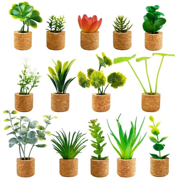 14 Unidsset Imanes de Nevera Lindo Planta de Plástico Cactus Suculento Po Imán Botón Refrigerador Mensaje Etiqueta Decoración Del Hogar 240318