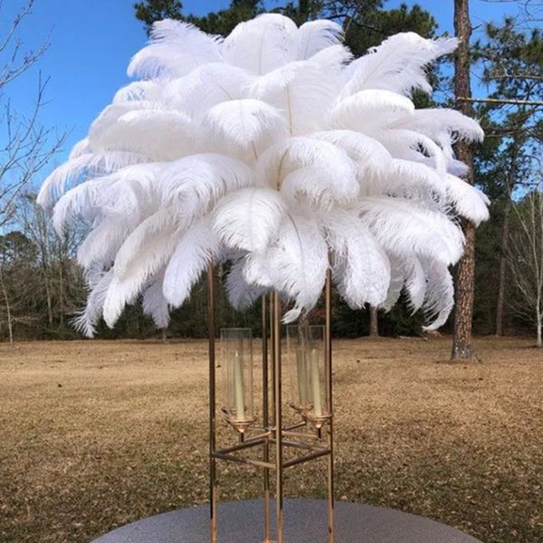 Plumes d'autruche blanches de toutes tailles, 15-70CM, pour artisanat, accessoires de mariage, décoration de centres de Table, Plumes de décoration 6-28 pouces