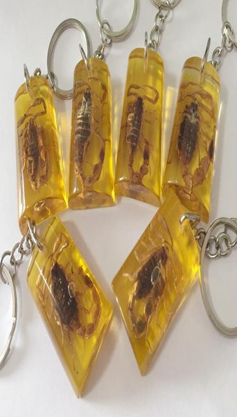 15 PCS Insect Spécimen Artificial Amber Scorpion bijoux Taxidermy Gift Accessoires 6496054