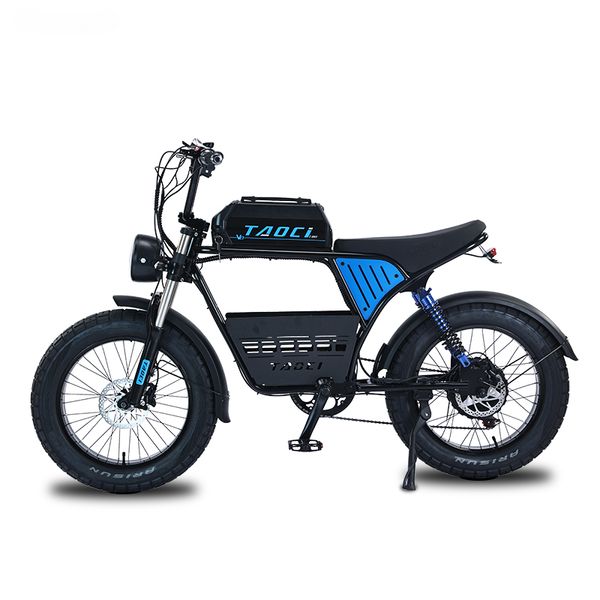 1500W 48V Rueda de grasa Bicicleta Eléctrica Retro Alta potencia Bike Electric Bike Off Road Motorcycle de 20 pulgadas Beach Snow Ebike Speed 50