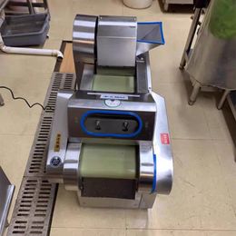 1500W Hoge Kwaliteit Groente Snijmachine voor Aardappelen Radishes Prei Kool Groene Uien Slicer Verscheurde Snijgedeelte Plantaardige Cutter
