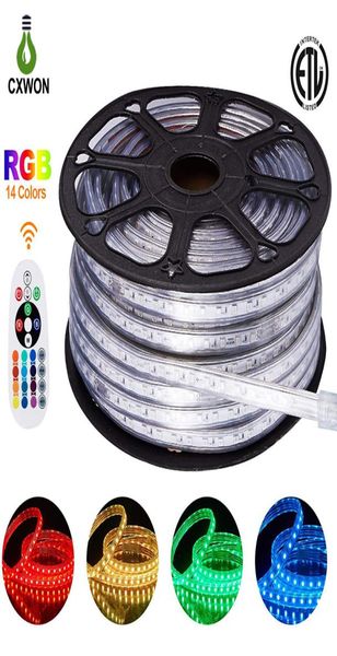 150 pieds 50m LED Light Light Cuttable Lights SMD2835 5050 120ledsm 60ledm Flex Rope Light IP65 White White RGB Décoration néon Indoo9769593