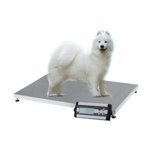 Balance électronique pour animaux de compagnie en acier inoxydable, 150kg/50g, pour animaux de compagnie, grand poids pour chiens, pesée électronique pour animaux de compagnie, hôpital, magasin de chats