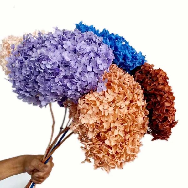 Branche de fleur d'hortensia séchée et conservée, longueur de 1520CM, 35CM, avec Rose éternelle, pour la maison, 240223