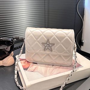 15CM Star Sac Femmes Designer Portefeuille Argent Matériel Bandoulière Fanny Pack Porte-Carte En Cuir Matelasse Chaîne Argent Matériel Sac À Bandoulière Porte-Monnaie Pochette