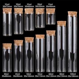 15 ml 25 ml 30 ml 35 ml 40 ml 45 ml 50 ml 55 ml 60 ml 80 ml 100 ml petit tube à essai en verre avec bouchon en liège bouteilles pots flacons 24 pièces 22010268j