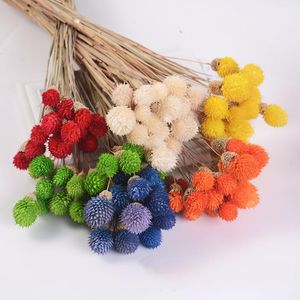 15 stks / partij Kleurrijke Natuurlijke Gedroogde Bloem Boeket Aardbeien DIY Handgemaakte Handwerk Kunstmatige Festival Home Decor Props Decoratieve bloemen