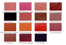 15 PCS LOT Dragon Lipgloss Liquide Mat Brillant À Lèvres Velouté Rouge À Lèvres Étanche Teinte À Lèvres Plein riche Maquillage Sexy Cosmetic298v7029614