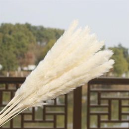 15x roseaux de Pampas séchés naturels, bouquet de fleurs de mariage pour la maison, décoration 281a