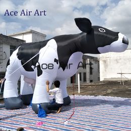 16,4 pieds de longueur Décoration de lait gonflable décor de vache de vache vaches bovins géants pour promotion de la ferme ou publicité