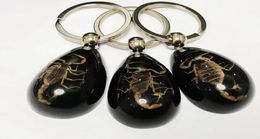 16 pièces porte-clés accessoires de mode ensemble véritable Scorpion porte-clés noir goutte couleur produit porte-clés voiture Ring8128514