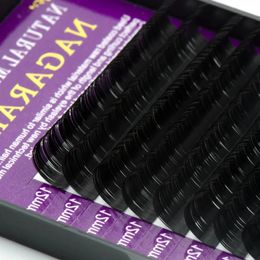 16 filas 6 cajas C D Curl Curly esponjoso Extensiones de pestañas suaves Pestiones individuales