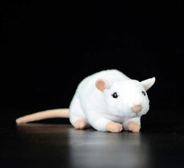 17 cm doux mignon blanc souris Simulation peluche jouet Rat belle Kawaii poupées animal Mini vraie vie en peluche jouet enfants enfant cadeau Q07409233