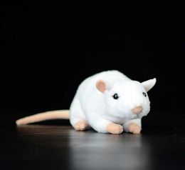 17 cm Suave Lindo Ratón Blanco Simulación Relleno de Peluche de Juguete Rata Encantadora Muñecas Kawaii Animal Mini Vida Real Juguete de Peluche Niños Regalo Del Niño Q07409233