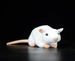 17 cm Soft mignon de souris blanche simulation en peluche en peluche rat rat de kawaii poupées animales mini vie réelle