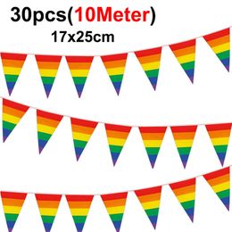 Drapeaux arc-en-ciel 17x25cm, bannière de fanion colorée, drapeaux suspendus